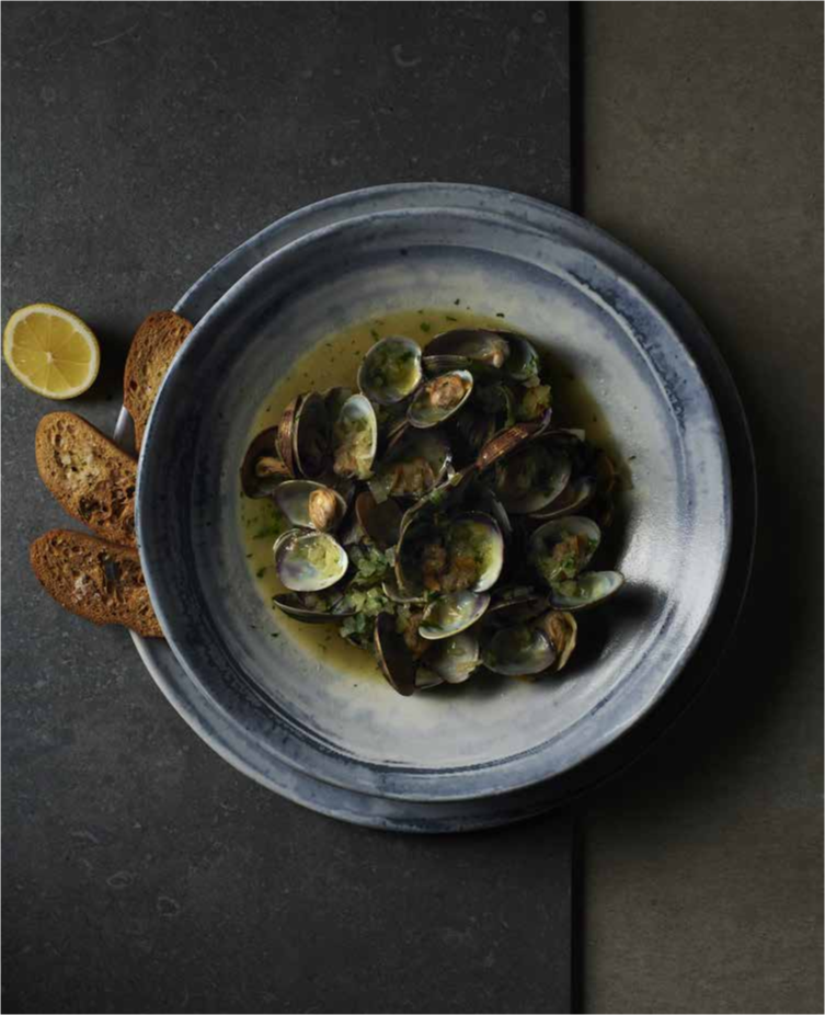Image-From-Dudson-catalogo-2023-EU-PRICED2-1